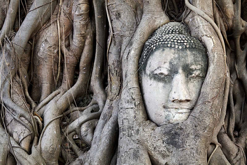 Wat Mahathat with its famous Buddha figure
