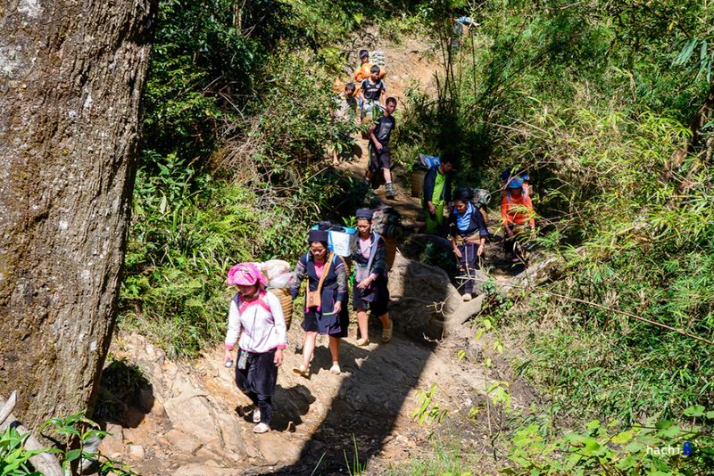 Porters in the Northern Mountain Region of Vietnam