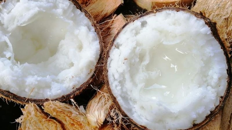 Waxy coconut
