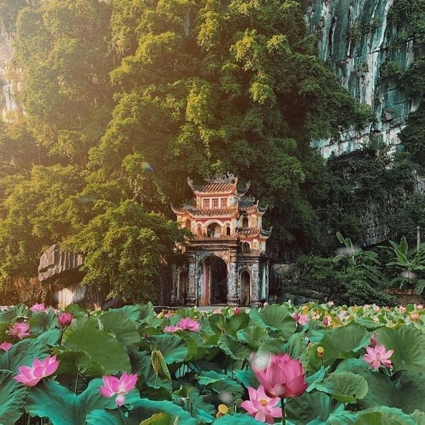 Bich Dongs ancient pagodas amid lush landscapes