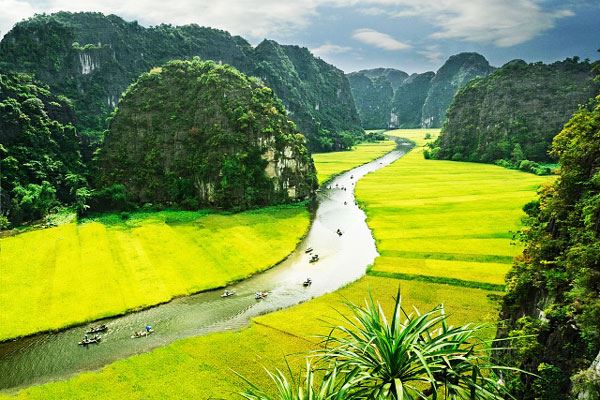 Boats adventures along the winding rivers of Ninh Binh