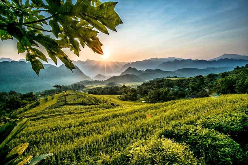 The beauty of rice terraces