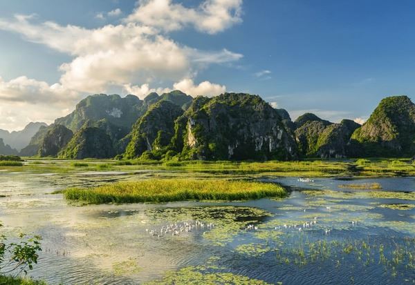 Discovering the wonders of Van Long Nature Reserve