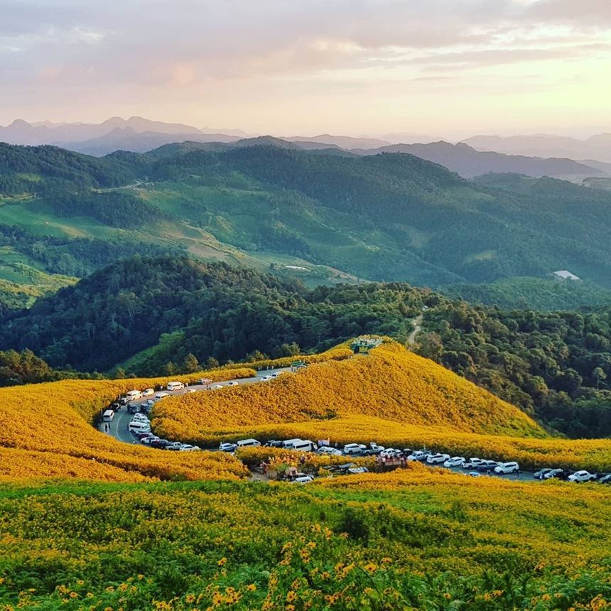 Chiang Mais allure: where every street tells a unique story.