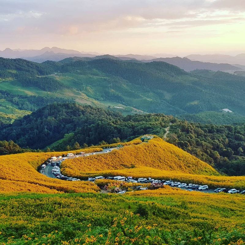 Cruise along Mae Ping River, discovering Chiang Mais riverside charm