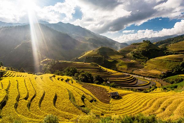 terraced fields pittoresque